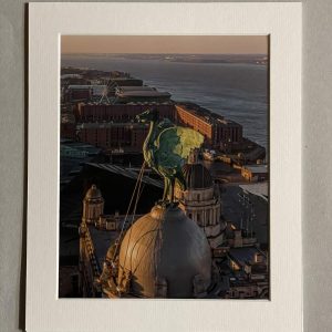 The Liver Bird