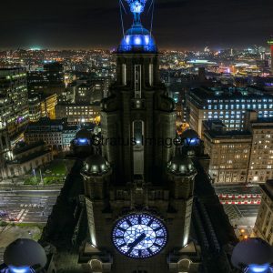 The Blue Liver Bird
